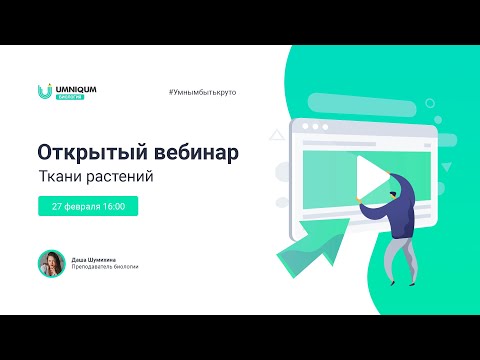 Ткани растений | УМНИКУМ | UMNIQUM