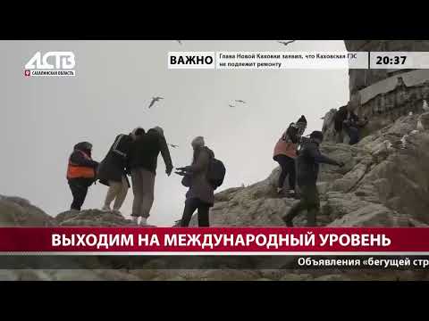 Выходим на международный