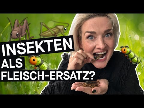 Video: Ist das Essen meines Welpen, das sein System stört?