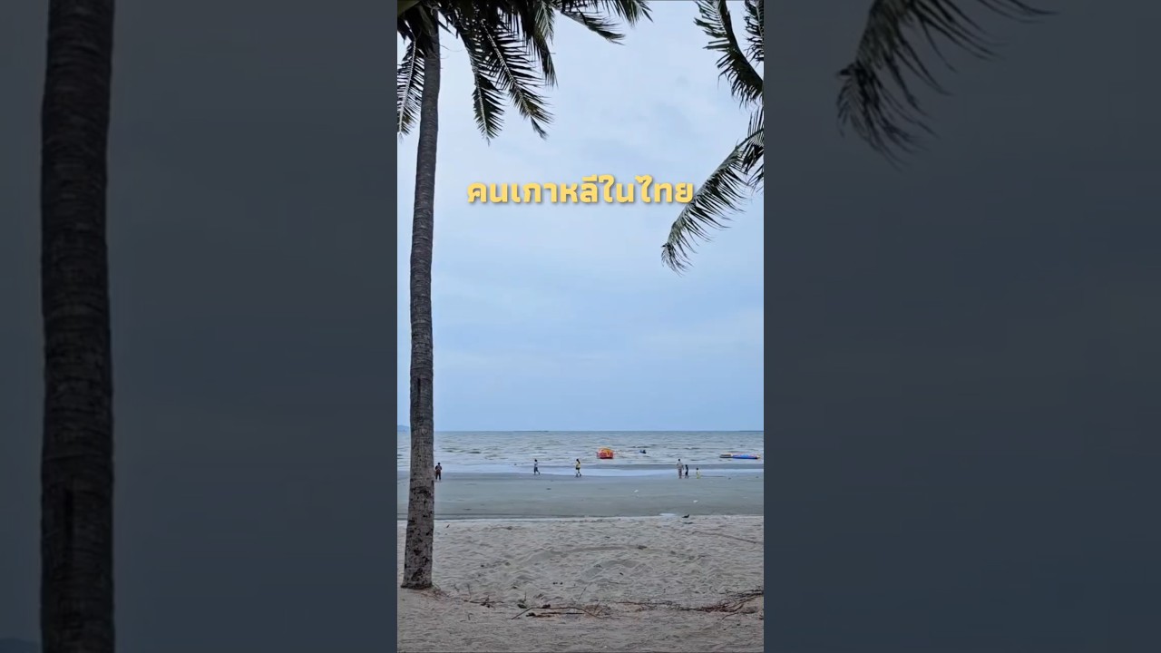 คนเกาหลีในไทย วันนี้ใช้เงินกี่บาท? #thailand #vlog #คนเกาหลี