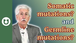 What are somatic mutations? What are germline mutations?