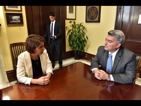 საქართველოს საპარლამენტო დელეგაციის შეხვედრა სენატორ კორი გარდნერთან