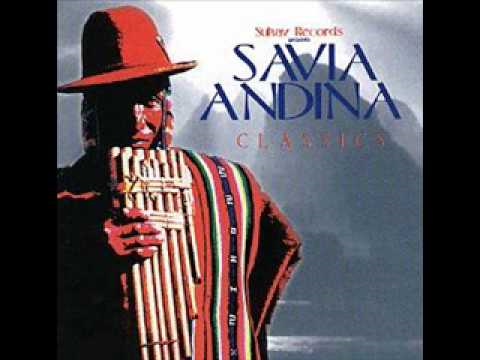 savia andina -- verbenita