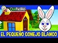 Audio cuento el pequeo conejo blanco