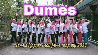 DUMES //senam kreasi lagu Jawa terbaru//@finakreasi-85