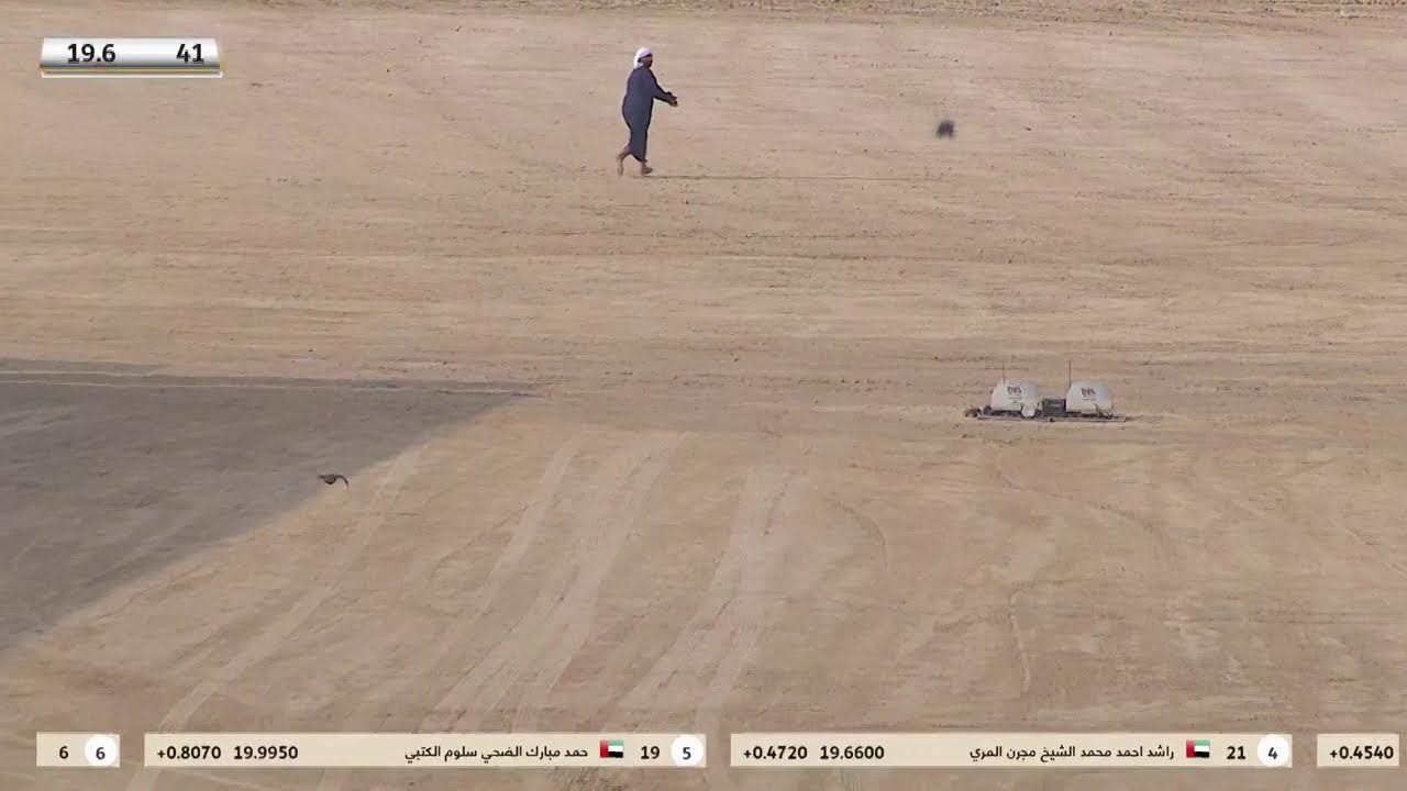 كاس محمد بن راشد لسباقات الصقور - العامة ملاك- جير شاهين