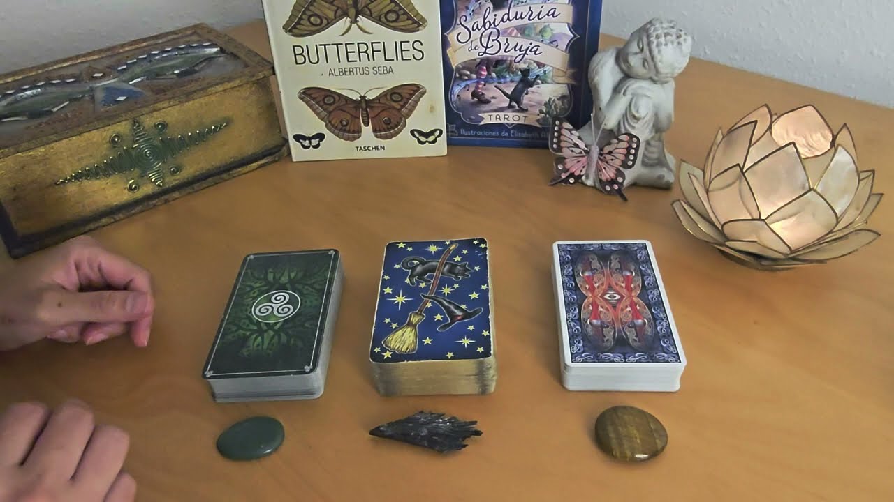 💫🦋¿QUÉ AMOR VIENE A TU VIDA?¿QUÉ VIVIRÉIS?🦋💫Tarot interactivo 