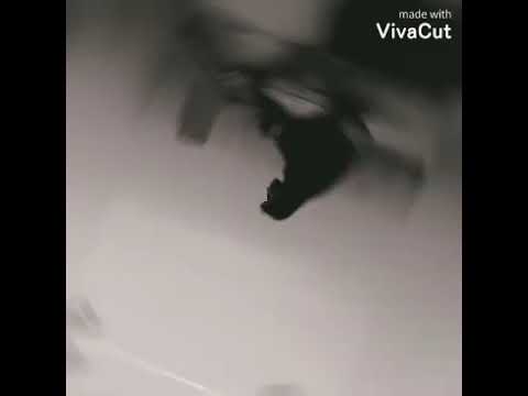 اغنيه حزينه جدا تصميم ملكه الكون