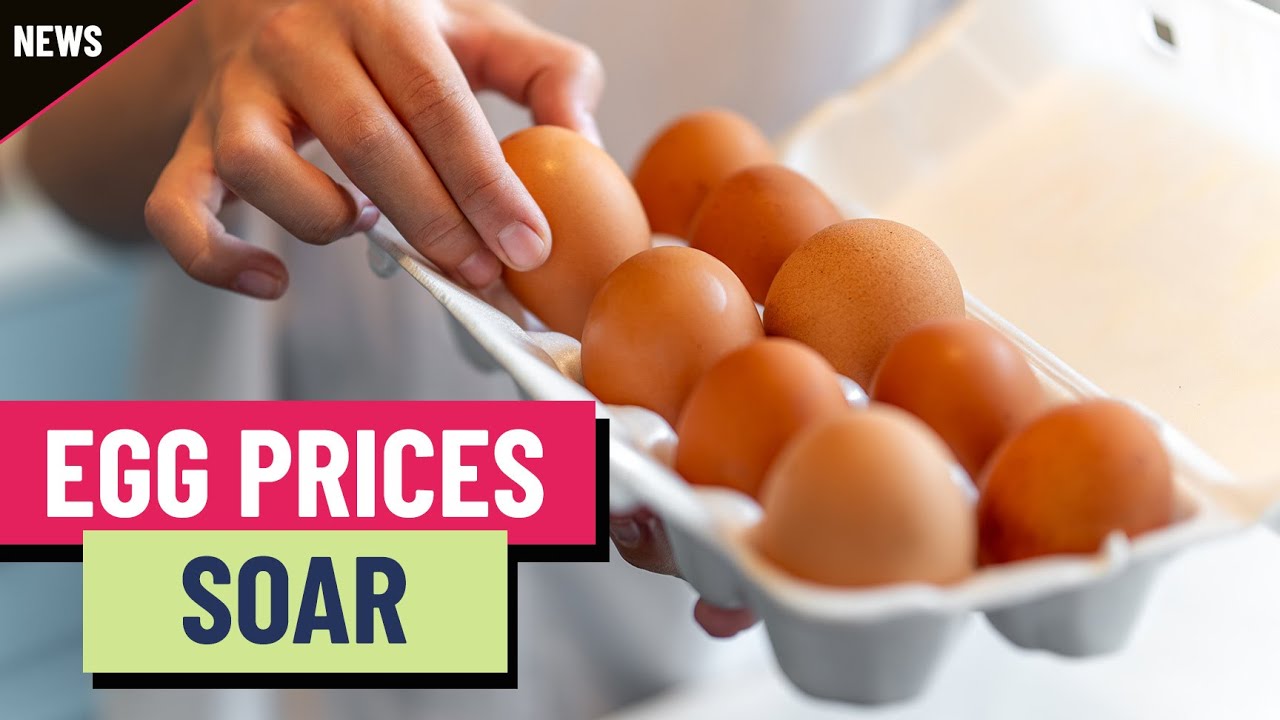 Why eggs have gotten so expensive Why eggs have gotten so expensive