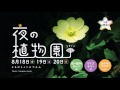 高知県立牧野植物園「夜の植物園」 の動画、YouTube動画。