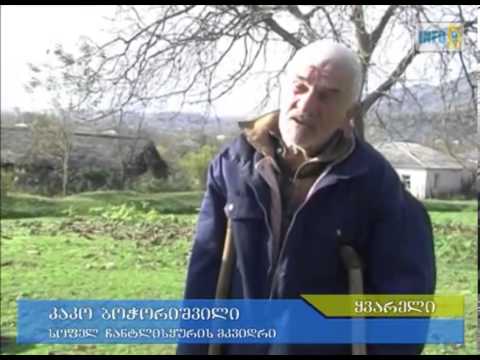 რა მიზნით დააზიანეს