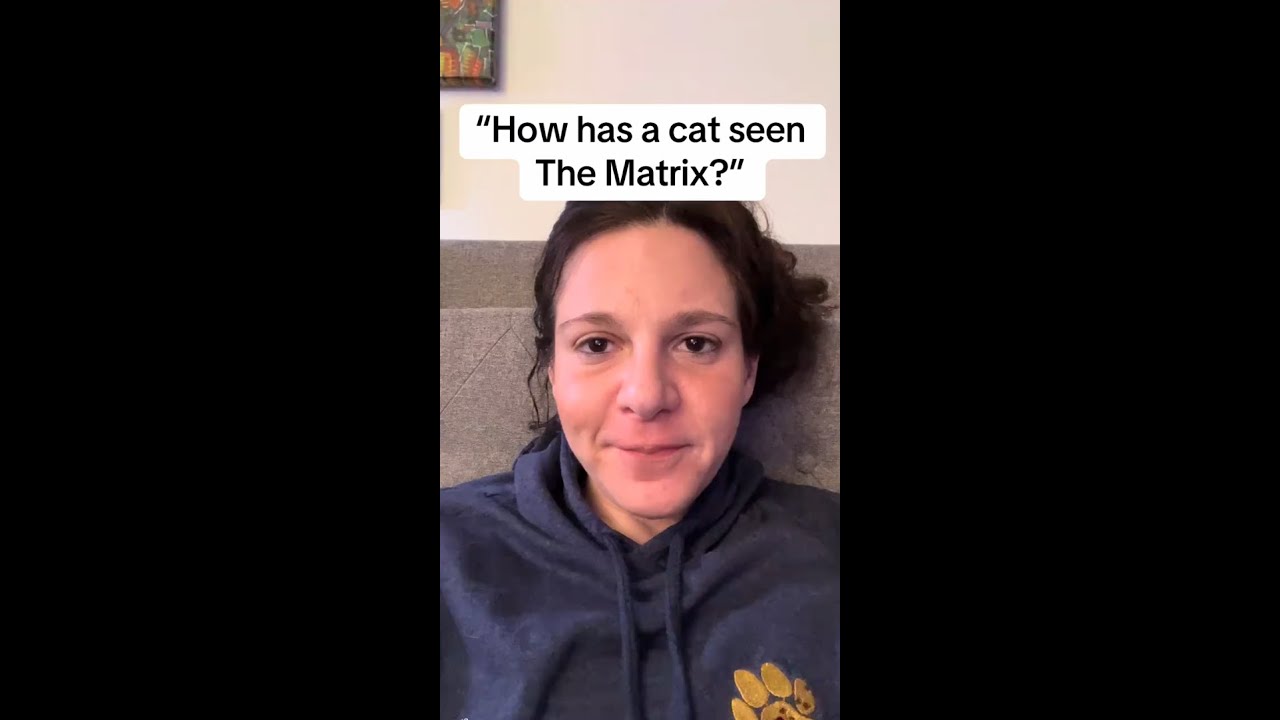 Matrix Cat Drawing How has a cat seen The Matrix? - YouTube