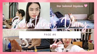 Page 6: Life update + Taking care of my pets + Uni Vlog + Foods I ate || Seventrina's Diary