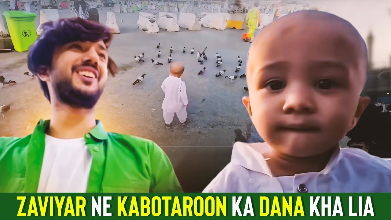 Quality Time With Family ❤️ | Zaviyar Ne Kabotaroon Ka Dana Kha Liya | Hussain Tareen Vlogs