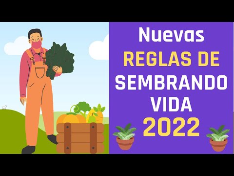 ✅🧲🚀SEMBRANDO VIDA 2022,