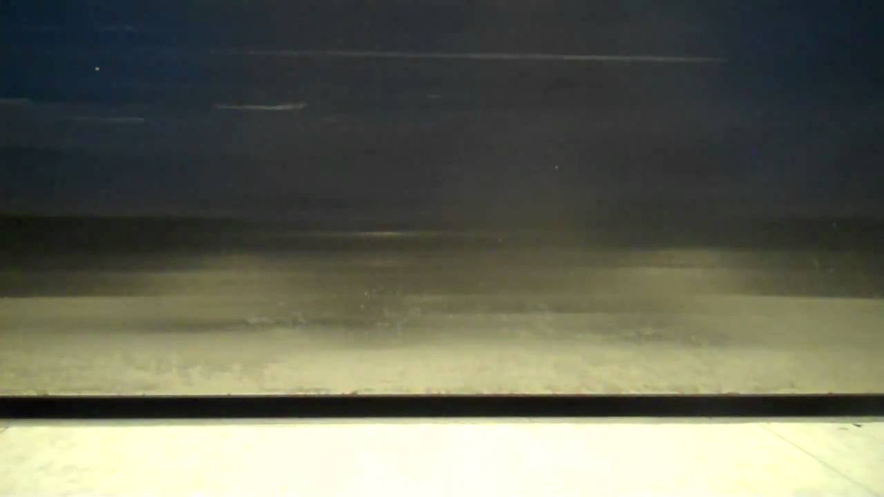 ThyssenKrupp Elevator at Stop & Shop at Islandia Center in Islandia, NY