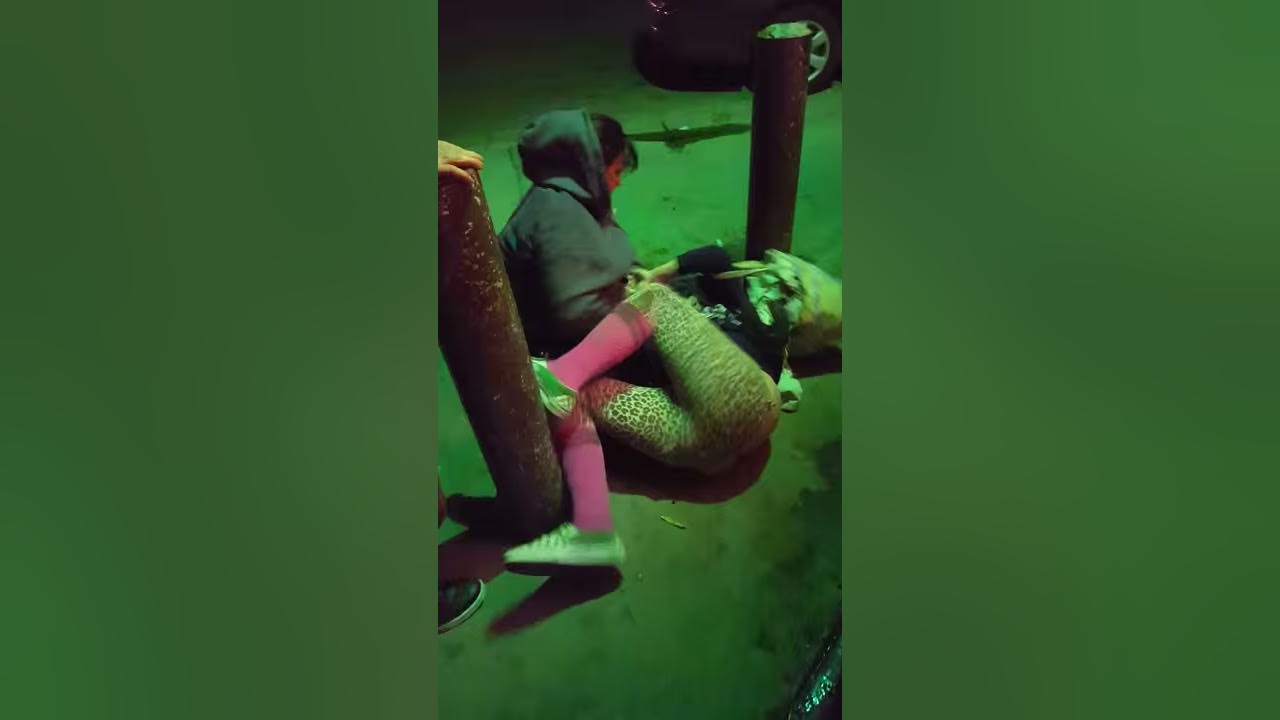 World star hip hop fights YouTube