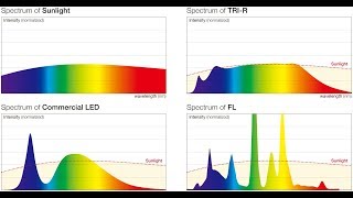 СОЛНЦЕПОДОБНЫЕ светодиоды SunLike LEDs TRI-R 2018