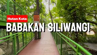 Hutan Kota Babakan Siliwangi Bandung || Wisata Gratis Bandung