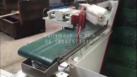 Automatic O ring counting packing machine auto feeding, auto convey