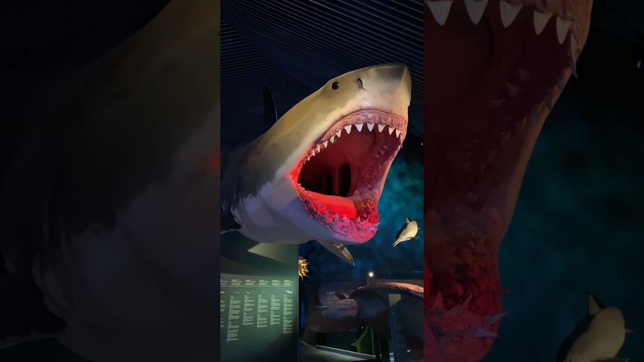 The largest aquarium in Denmark 