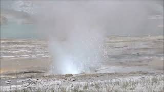 Percolator Geyser (2026)
Percolator Geyser (2026)
Geysers are hot springs that episodically erupt columns of water. They occur in few places on Earth. The highest concentration of geysers anywhere is at the Yellowstone Hotspot Volcano in northwestern Wyoming, USA.
Percolator Geyser is a small feature in the Grand Group of the Upper Geyser Basin. The vent is located at 44° 27’ 59.36” North latitude, 110° 50’ 13.20” West longitude, about halfway between Grand Geyser and West Triplet Geyser. Eruptions can be brief to moderately long, often with pauses and near-pauses. Water-phase erupting is low to moderately low. As eruptions progress, somewhat noisy, steam-rich pulsing becomes common.
Clips with annoying hominid vocalizations have been muted.
Grand Group videos:
https://www.youtube.com/playlist?list=PL8dL6UmmXTBVjGW29wJLybN4KNdVYnYG5
Percolator Geyser videos:
https://www.youtube.com/playlist?list=PLSg9yMmf192g
All clips - Percolator Geyser erupting in the afternoon of 3 August 2026. Percolator Geyser (2026)