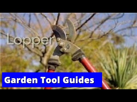 Garden Tools which Prune Tree Limbs Safely