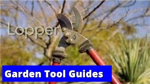 Garden Tool Guides : How to Use a Limb Lopper