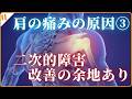 【脳卒中片麻痺を知る】肩の痛みの原因3選 ③外側上腕筋間中隔（がいそくじょうわんきんかんちゅうかく）の話・しびれ・下垂手（かすいしゅ）・二次的障害は改善の余地あり