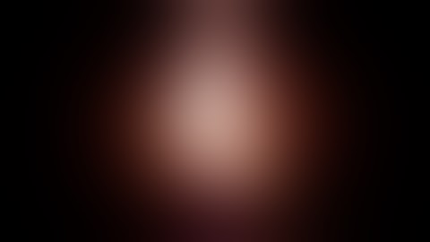 Sylvania 7" netbook Successfully Factory Reset