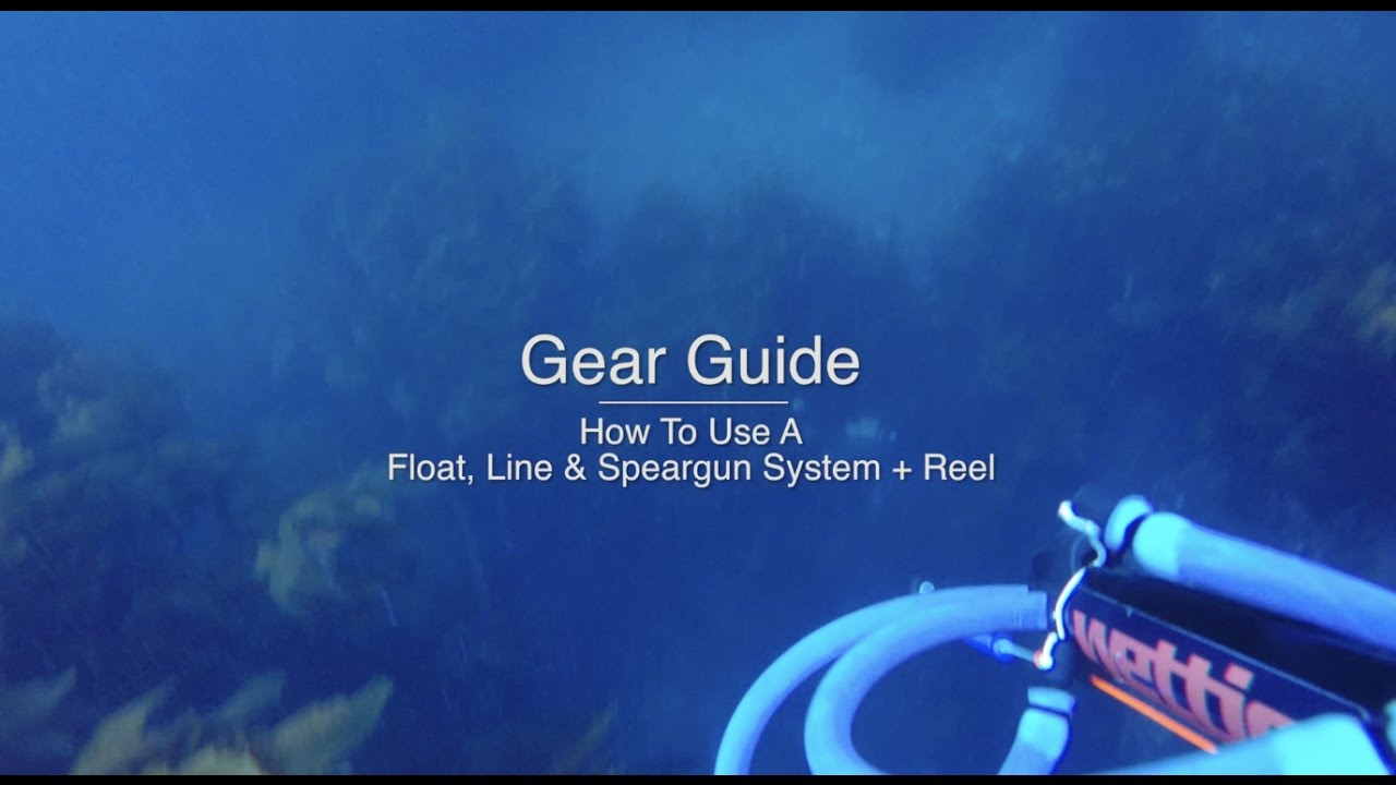 How To Use a Speargun, Float & Line System + REEL - Wettie TV- 'GEAR GUIDE'  