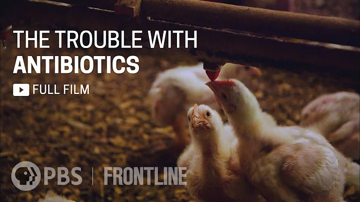 The Trouble with Antibiotics (full documentary) | FRONTLINE - DayDayNews