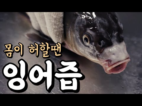 비린내 없이 잉어즙(잉어탕) 만드는 방법 | 임산부 허약자에게 좋아요