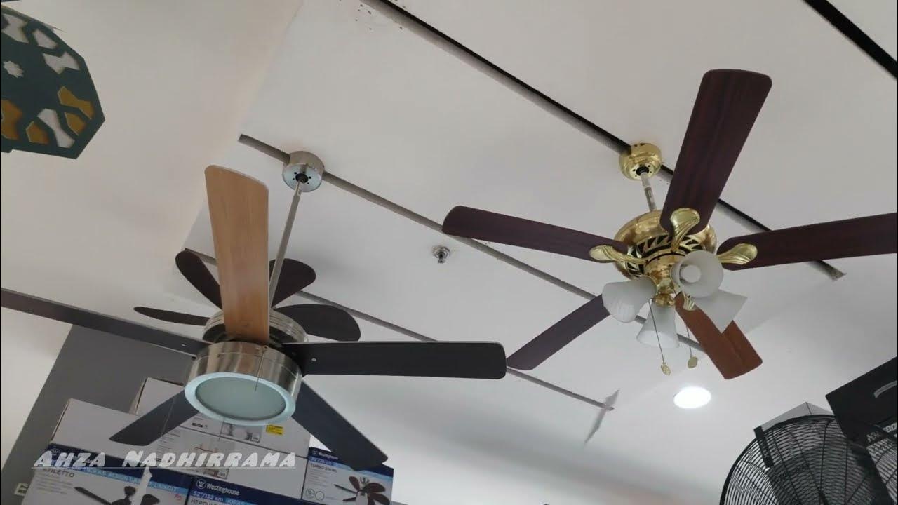 Fans at Ace Hardware (2022 Display) YouTube