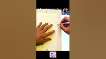 DIY Lightbox in Seconds: Timelapse Tracing Subject - KOI : Part 1 | dcrafts