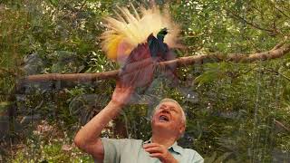 David Attenborough 100Th Birthday Anijam