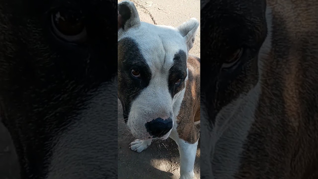 6 августа 2025 г.