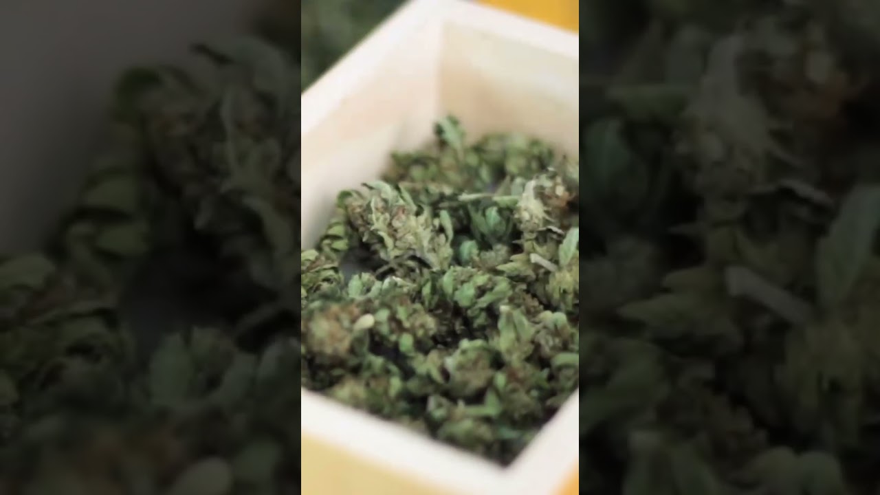 Kief • Extracciones Artesanales