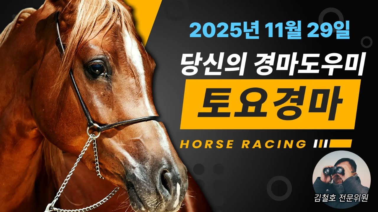 경마도우미 김철호 11월29일 토요경마 훈련 좋은 복병 도우미!