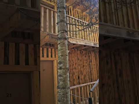 აბასთუმანი კოტეჯები 01 14 09 2025 GUMI