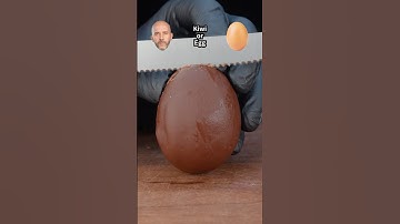 Kiwi or Egg🥚