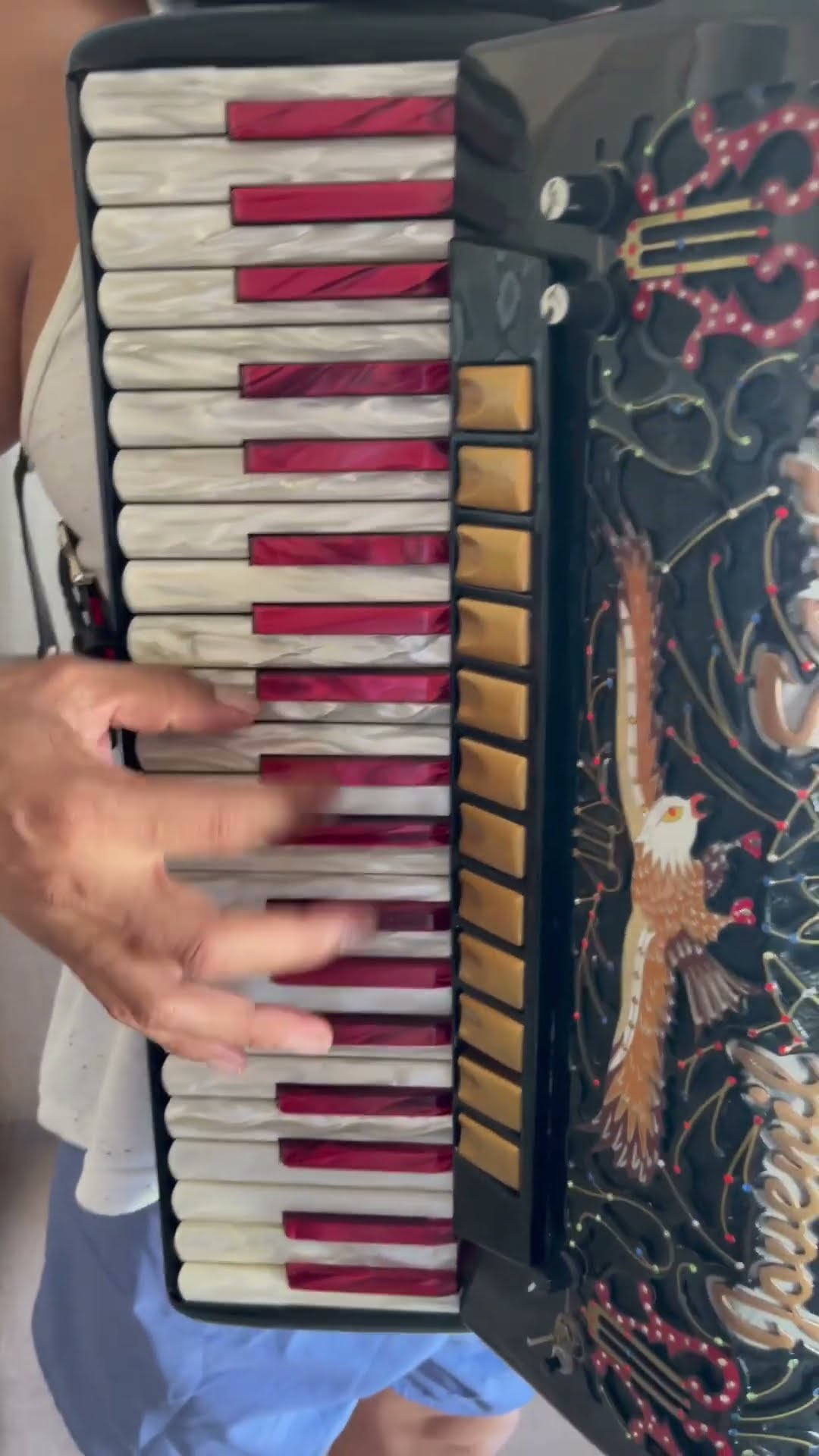 https://rifei.com.br/acordeon-melody-president