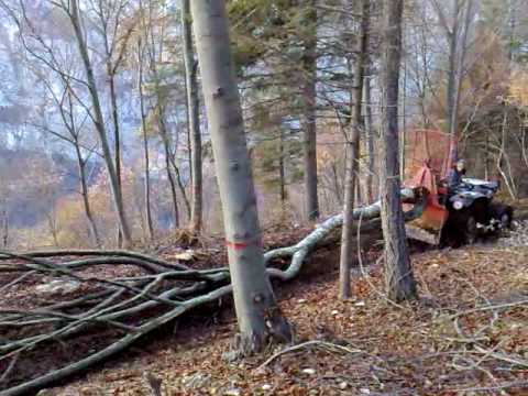 lavori-forestali-2-arco-trento.mp4