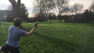 The Disc Golf Struggle