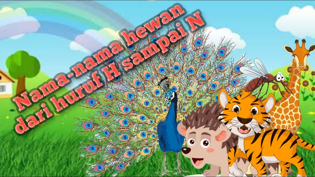 Belajar mengenal nama-nama hewan dari huruf H sampai N - YouTube