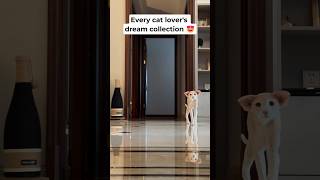 Every cat lover's dream collection 🥰 #cats