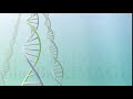 DNA 遺伝子 染色体 ゲノム 医療 化学 二重螺旋 二重らせん 科学 バイオ DNA 2 A2 A2a HD