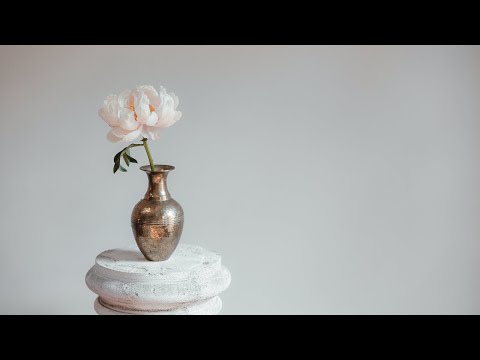이시자키 휴이 - 꽃병의 꽃