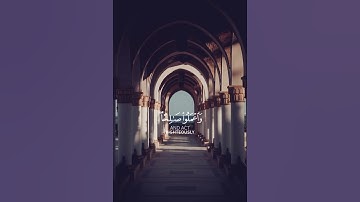 سورة المؤمنون بصوت القارئ عبد الرحمن مسعد ❤️💖