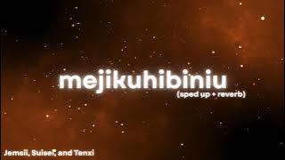 mejikuhibiniu - Jemsii, Suisei, and Tenxi (sped up, reverb)
